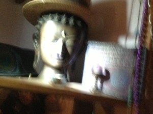 Each New Moon, a list of intentions and an illustration of the feeling of the intentions being fully realised happens. With OM NAMO NARAYANI as a thank you. Google it. You'll like it.