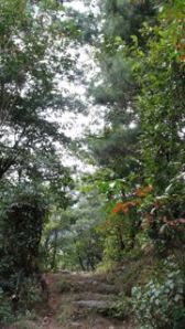 Walking Meditation. The walk up to Lura, via Roshi.