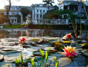 Ph: grabbed from the website, i don't have access to my all photos here in Kathmandu