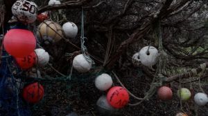 the bay house view from kitchen window