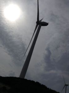 wind generator bridgewater bay